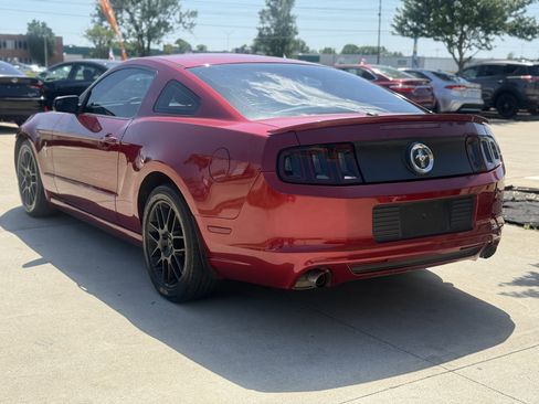 Used 2014 Ford Mustang Premium w/ Equipment Group 202A RWD image 5