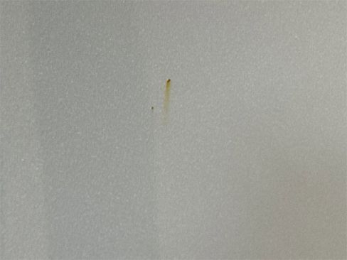 Used 2015 Hyundai Accent Sport image 33