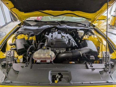 Used 2017 Ford Mustang Premium w/ Pony Package image 21