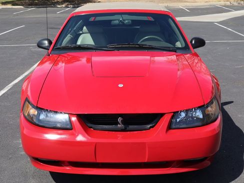 Used 1999 Ford Mustang Cobra image 12