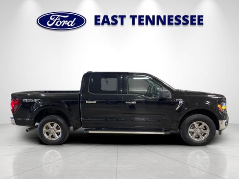 Used 2025 Ford F150 XLT w/ Equipment Group 301A Standard AWD/4WD image 2