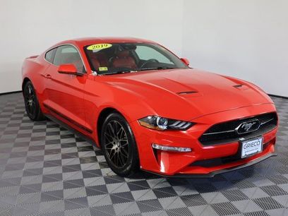 Used 2019 Ford Mustang Premium w/ Equipment Group 201A