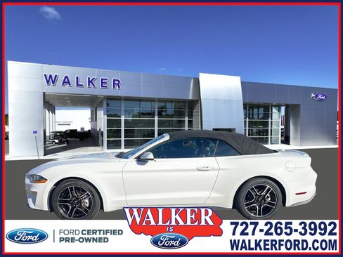 Certified 2022 Ford Mustang Premium w/ Equipment Group 201A image 1