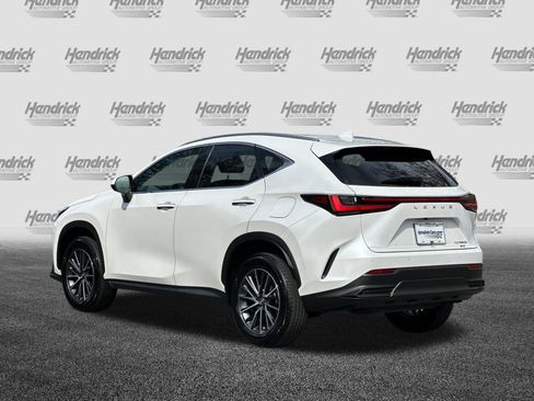 Used 2025 Lexus NX 350h AWD w/ Cold Area Package image 7