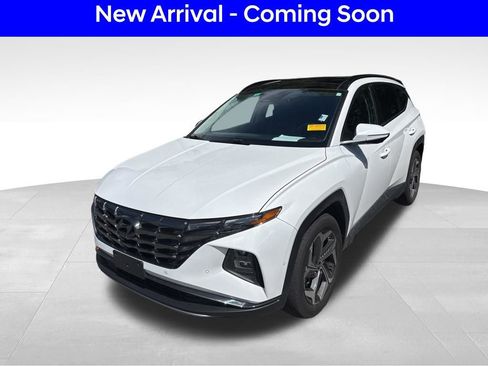 Used 2024 Hyundai Tucson Limited image 2