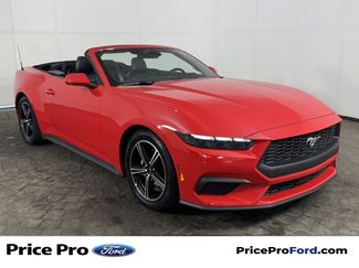 Certified 2025 Ford Mustang Premium RWD video 1