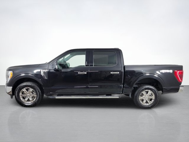 Certified 2021 Ford F150 XLT w/ Equipment Group 302A High AWD/4WD image 6