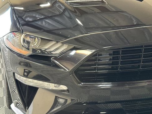 Used 2019 Ford Mustang GT Premium w/ Equipment Group 401A RWD image 44