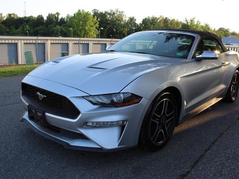 Used 2018 Ford Mustang Premium image 3