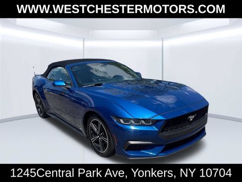 Used 2024 Ford Mustang Premium RWD image 3