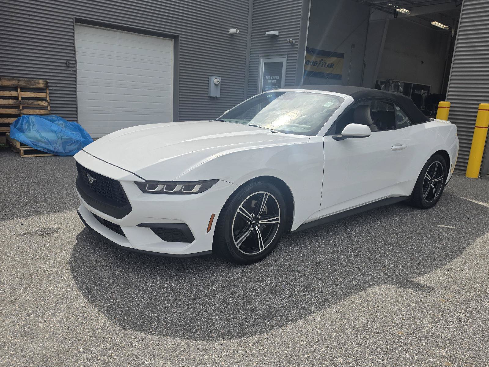 Used 2024 Ford Mustang Premium RWD image 13