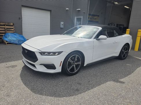 Used 2024 Ford Mustang Premium RWD image 13