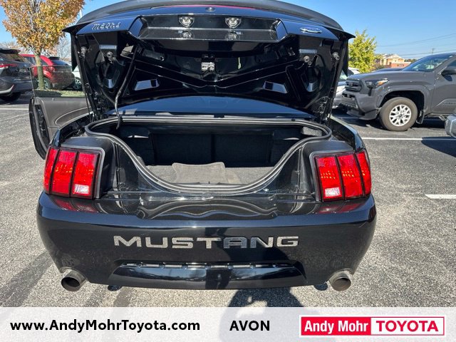 Used 2004 Ford Mustang Mach 1 RWD image 32