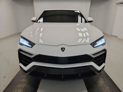 Used 2019 Lamborghini Urus