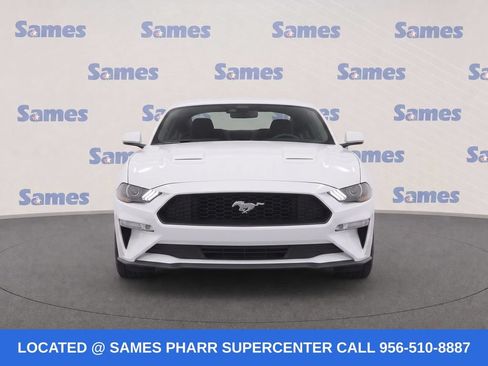 Used 2019 Ford Mustang Coupe w/ Equipment Group 101A RWD image 5