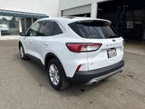 Used 2022 Ford Escape SE image 3