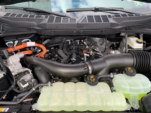 New 2025 Ford F150 XLT w/ Equipment Group 302A MID image 63