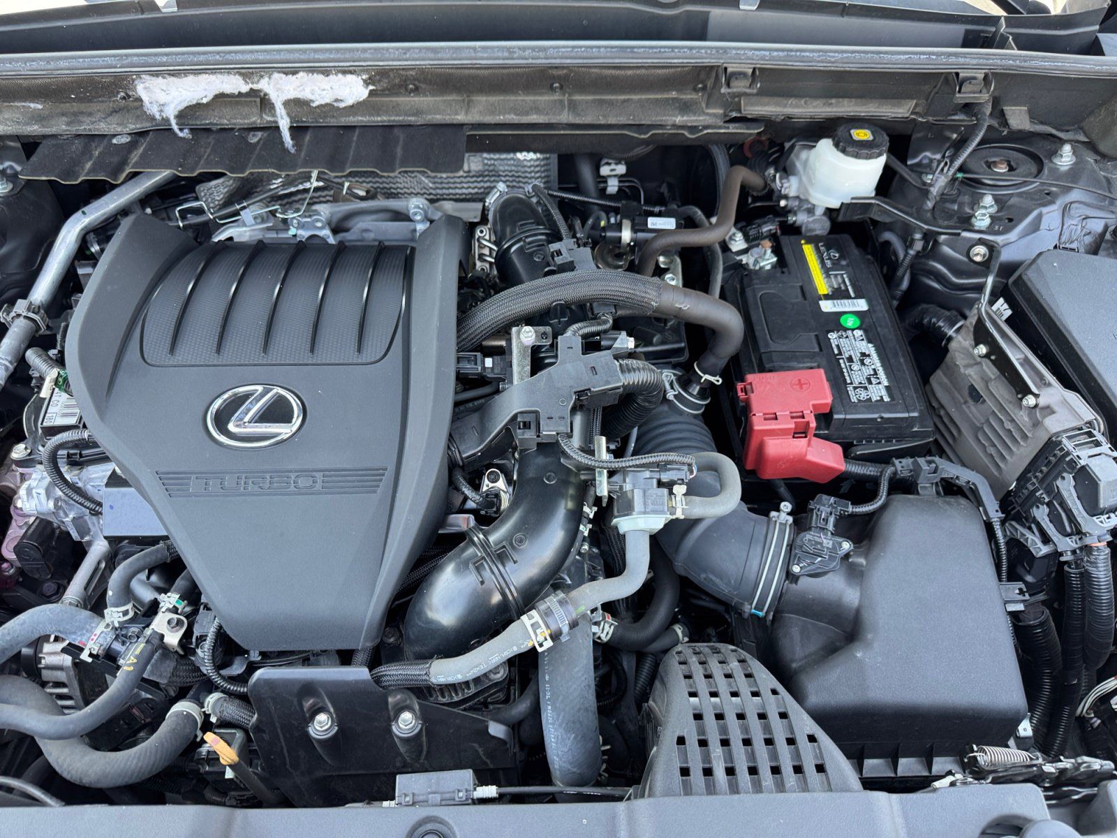 Used 2024 Lexus NX 350 AWD w/ Cold Area Package image 20