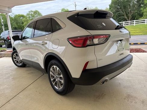 Used 2020 Ford Escape SE AWD/4WD image 6