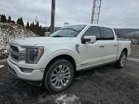 Used 2023 Ford F150 Limited image 10