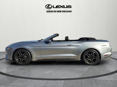 Used 2020 Ford Mustang Premium image 6