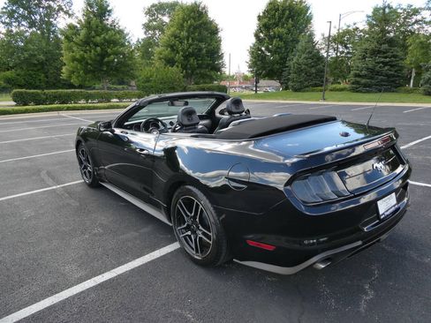Used 2019 Ford Mustang Premium RWD image 14