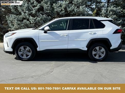 Used 2024 Toyota RAV4 LE image 4