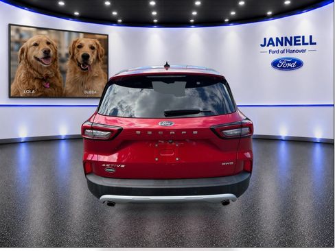 Used 2025 Ford Escape Active w/ Active Premium Tech Pack AWD/4WD image 7