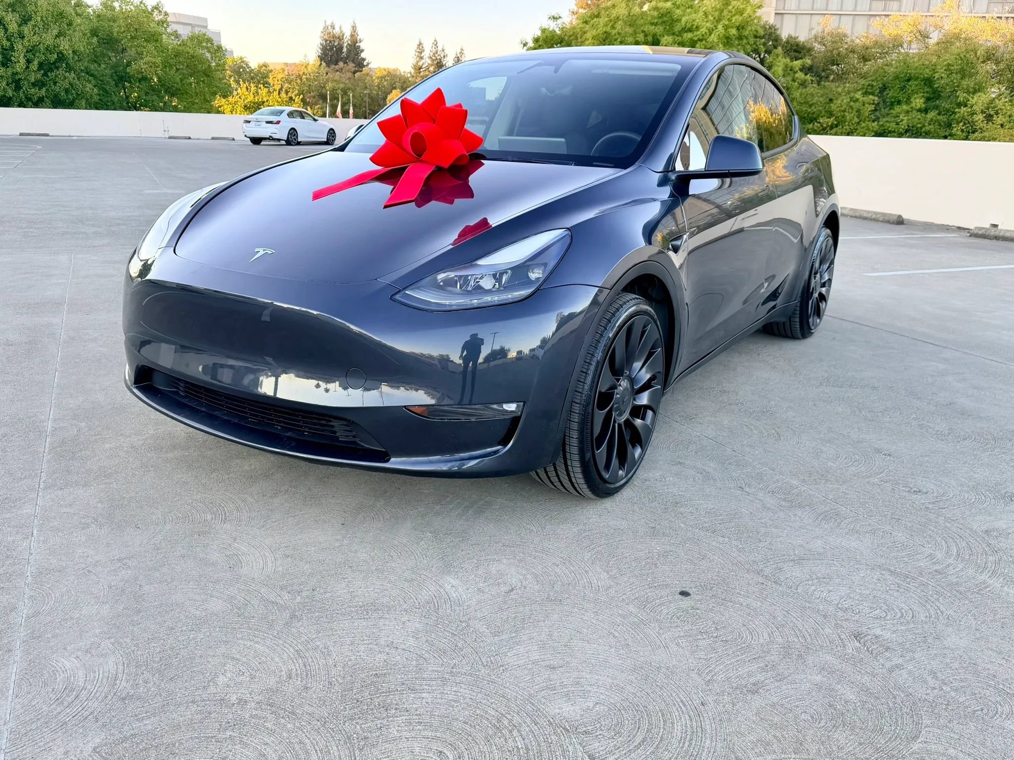 Used 2025 Tesla Model Y Long Range AWD/4WD image 6