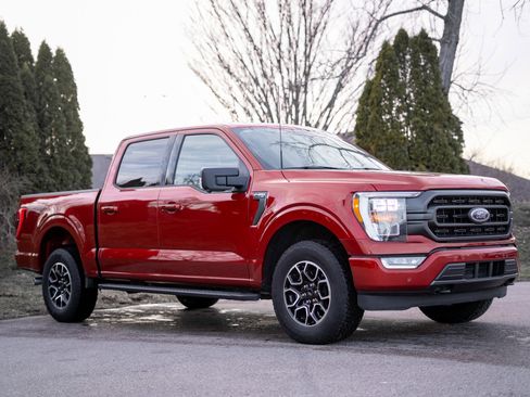 Used 2023 Ford F150 XLT w/ Equipment Group 302A High image 3