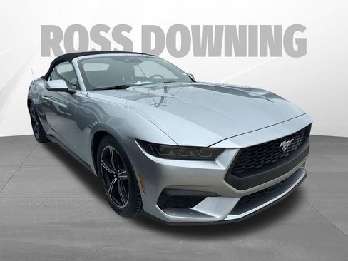 Used 2025 Ford Mustang Premium RWD image 3