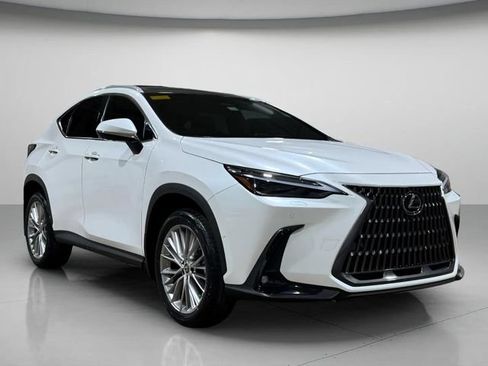 Used 2025 Lexus NX 350h AWD w/ Cold Area Package image 1