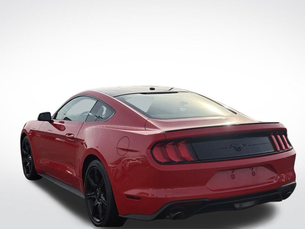 Used 2019 Ford Mustang Coupe w/ Black Accent Package RWD image 3