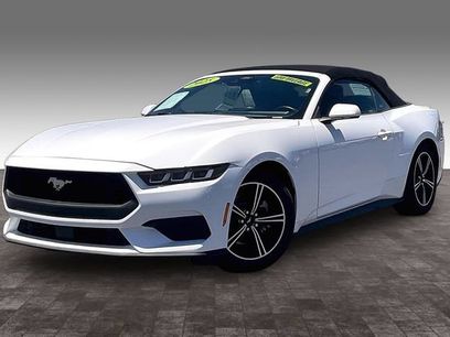 Used 2024 Ford Mustang Premium