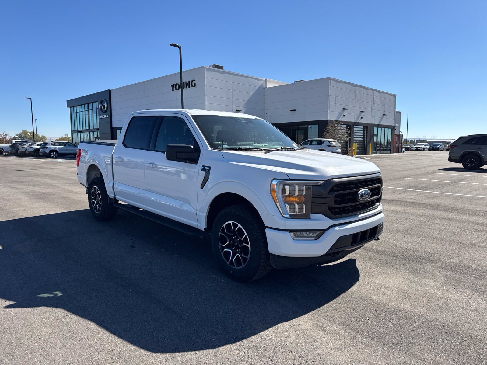 Used 2022 Ford F150 XLT w/ Equipment Group 302A High AWD/4WD image 1