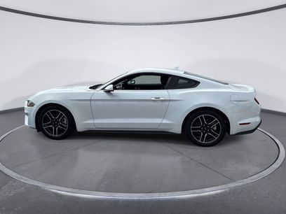 Used 2022 Ford Mustang Premium