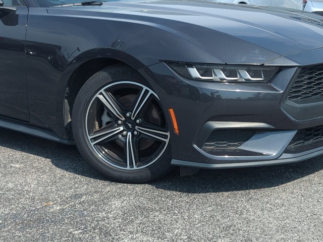 Used 2024 Ford Mustang Premium RWD image 2