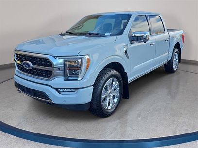 Used 2023 Ford F150 Platinum w/ Equipment Group 701A High