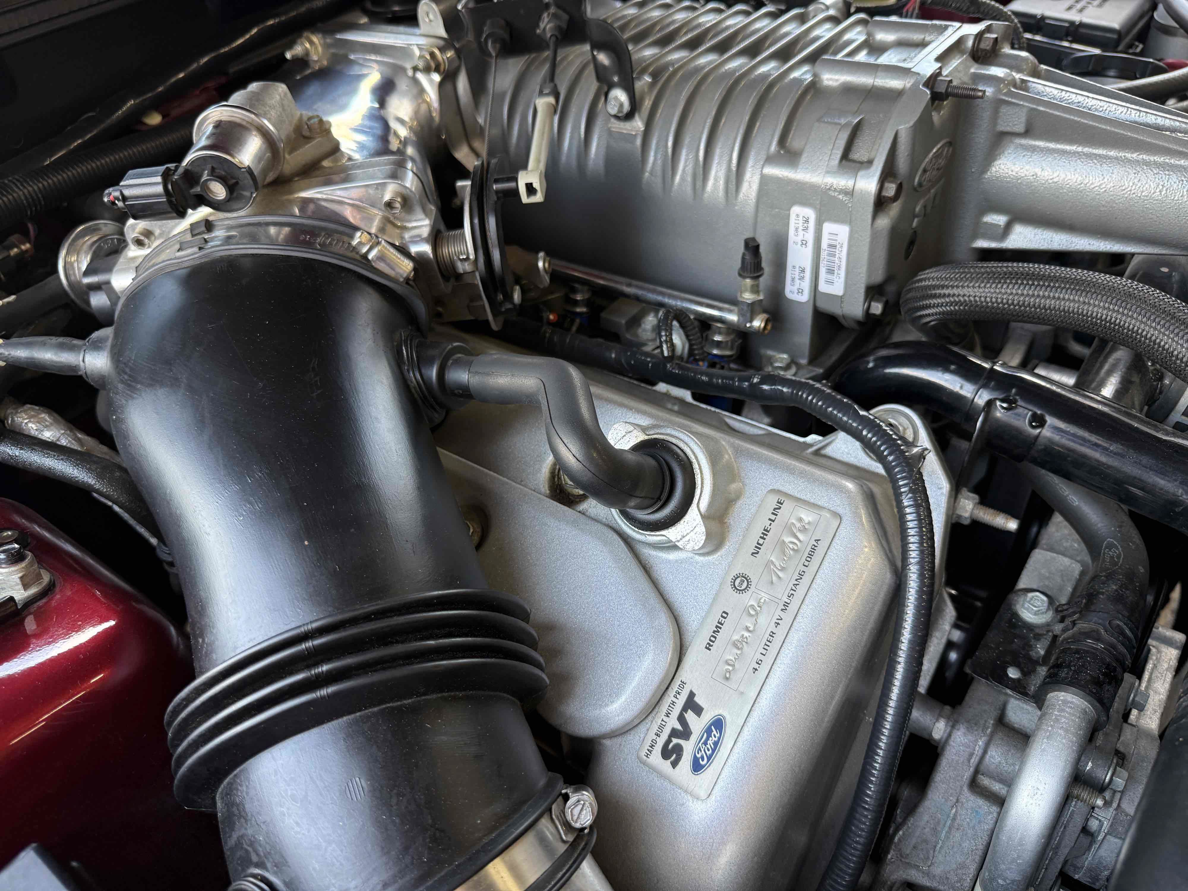 Used 2003 Ford Mustang Cobra RWD image 72