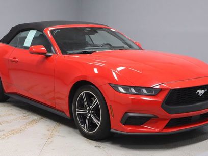 Certified 2024 Ford Mustang Premium