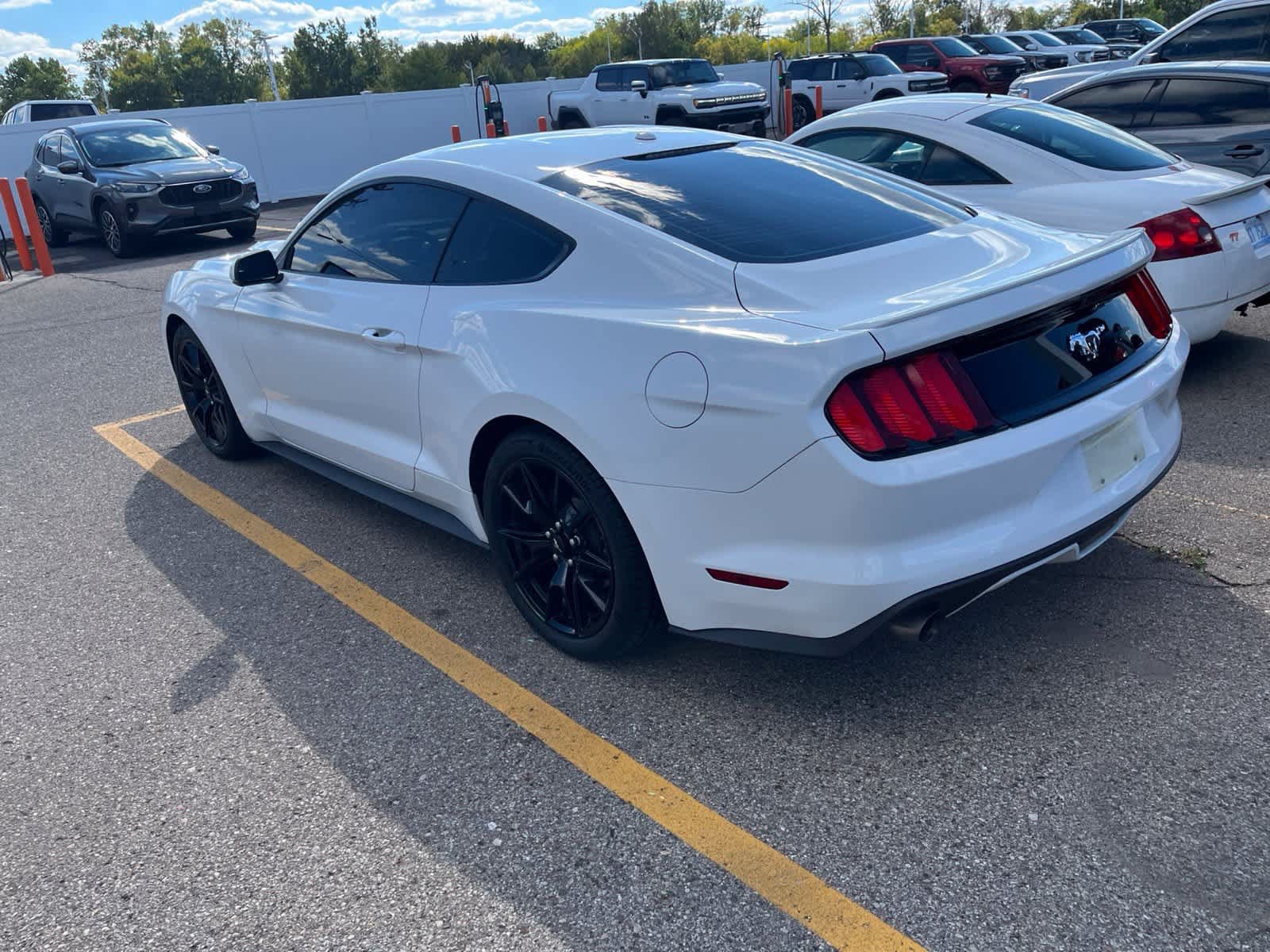 Used 2015 Ford Mustang Premium RWD image 11