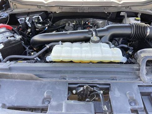 Used 2025 Ford F150 XLT w/ Equipment Group 301A Standard image 23