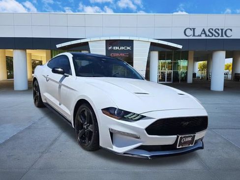 Used 2023 Ford Mustang Premium w/ Mustang Nite Pony Package RWD image 2