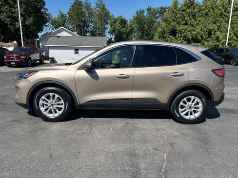 Used 2020 Ford Escape SE AWD/4WD image 6