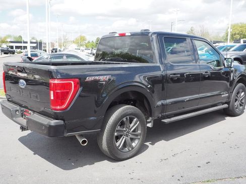 Used 2023 Ford F150 XLT w/ Equipment Group 302A High AWD/4WD image 7
