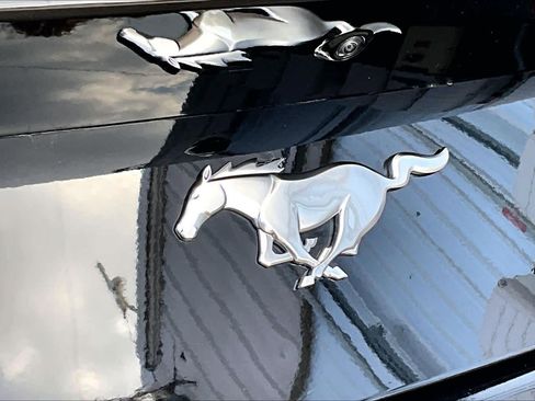 Used 2025 Ford Mustang Coupe image 29