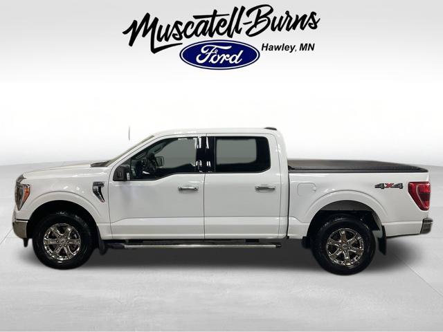 Used 2023 Ford F150 XLT w/ Equipment Group 302A High AWD/4WD image 3