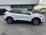 New 2025 Ford Escape ST-Line w/ Tech Pack #1 image 6