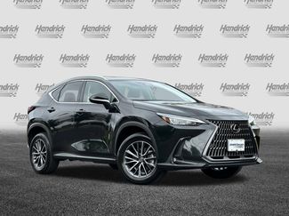 Certified 2025 Lexus NX 350h AWD w/ Cold Area Package video 2
