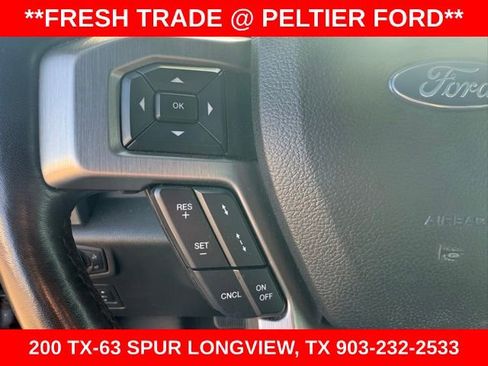 Used 2019 Ford F150 Platinum w/ Equipment Group 701A Luxury image 13